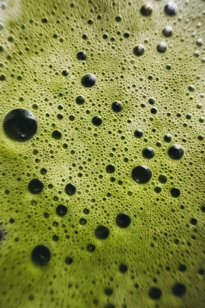 Foam products